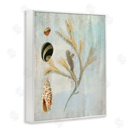 Susan Arnot | Mixed Seashells & Coral
