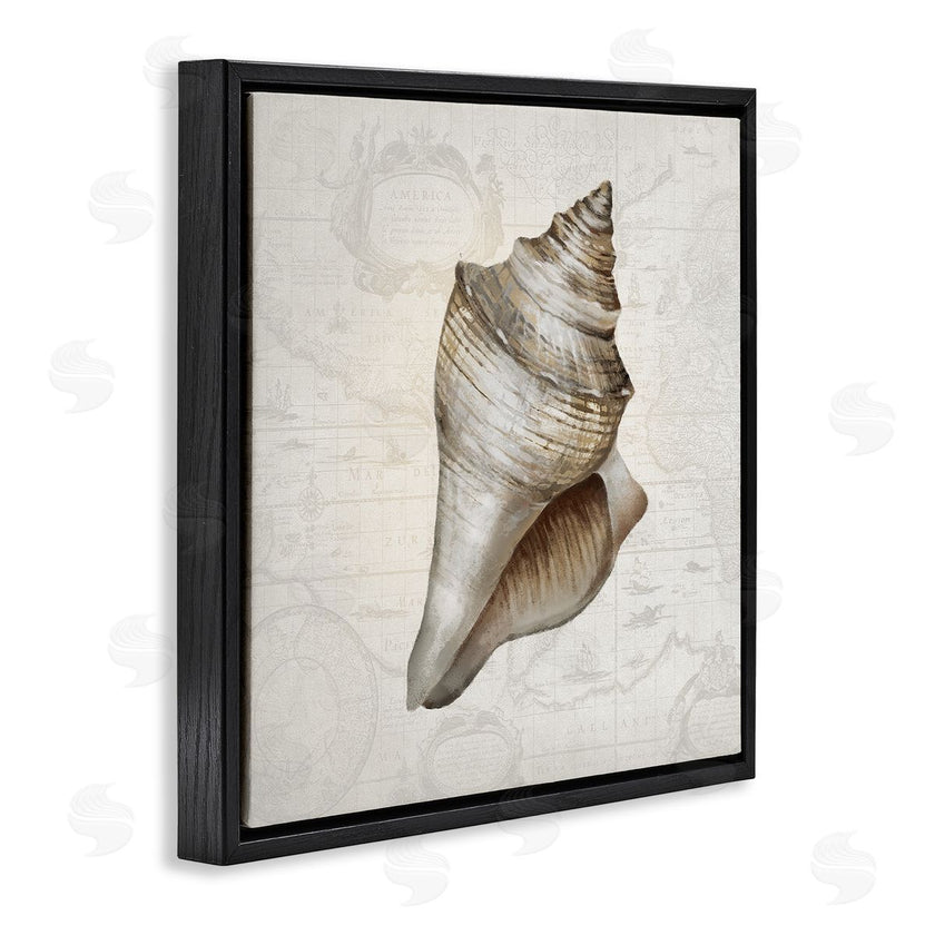 Conrad Knutsen | Conch Shell over Vintage Map