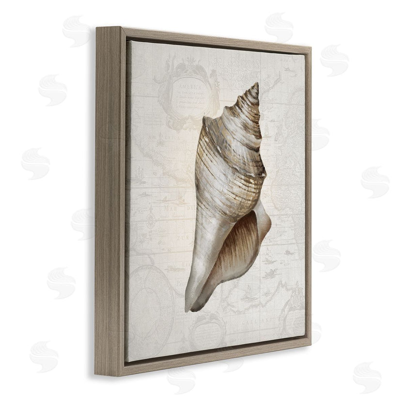 Conrad Knutsen | Conch Shell over Vintage Map