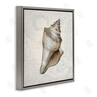Conrad Knutsen | Conch Shell over Vintage Map