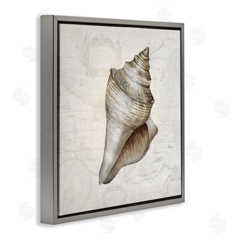 Conrad Knutsen | Conch Shell over Vintage Map