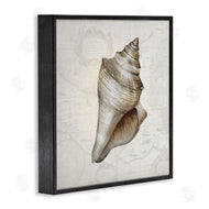 Conrad Knutsen | Conch Shell over Vintage Map