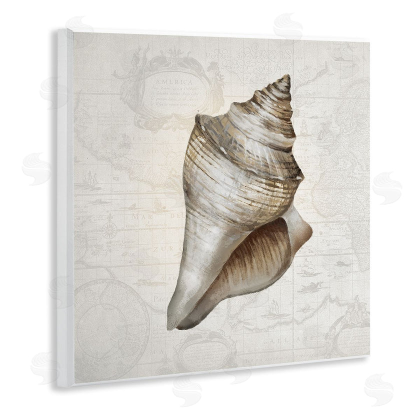 Conrad Knutsen | Conch Shell over Vintage Map