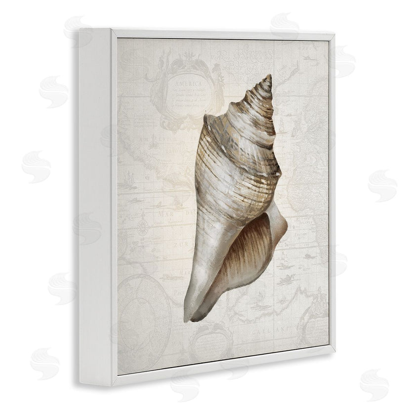 Conrad Knutsen | Conch Shell over Vintage Map