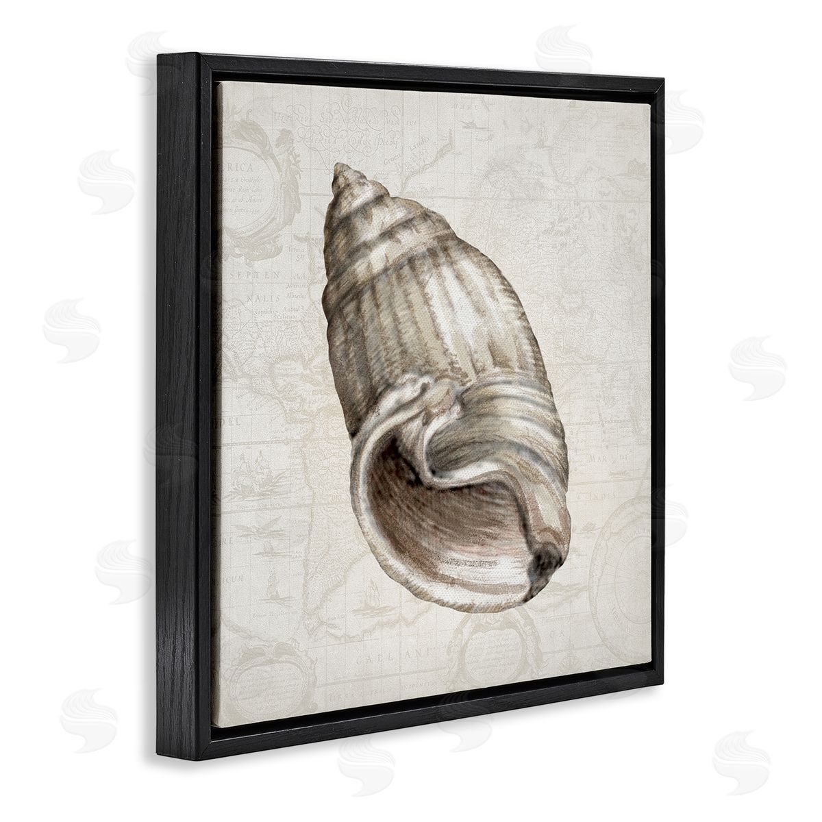 Conrad Knutsen | Seashell over Vintage Map