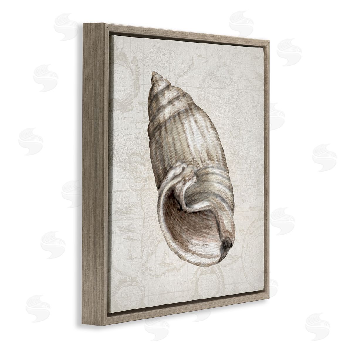 Conrad Knutsen | Seashell over Vintage Map