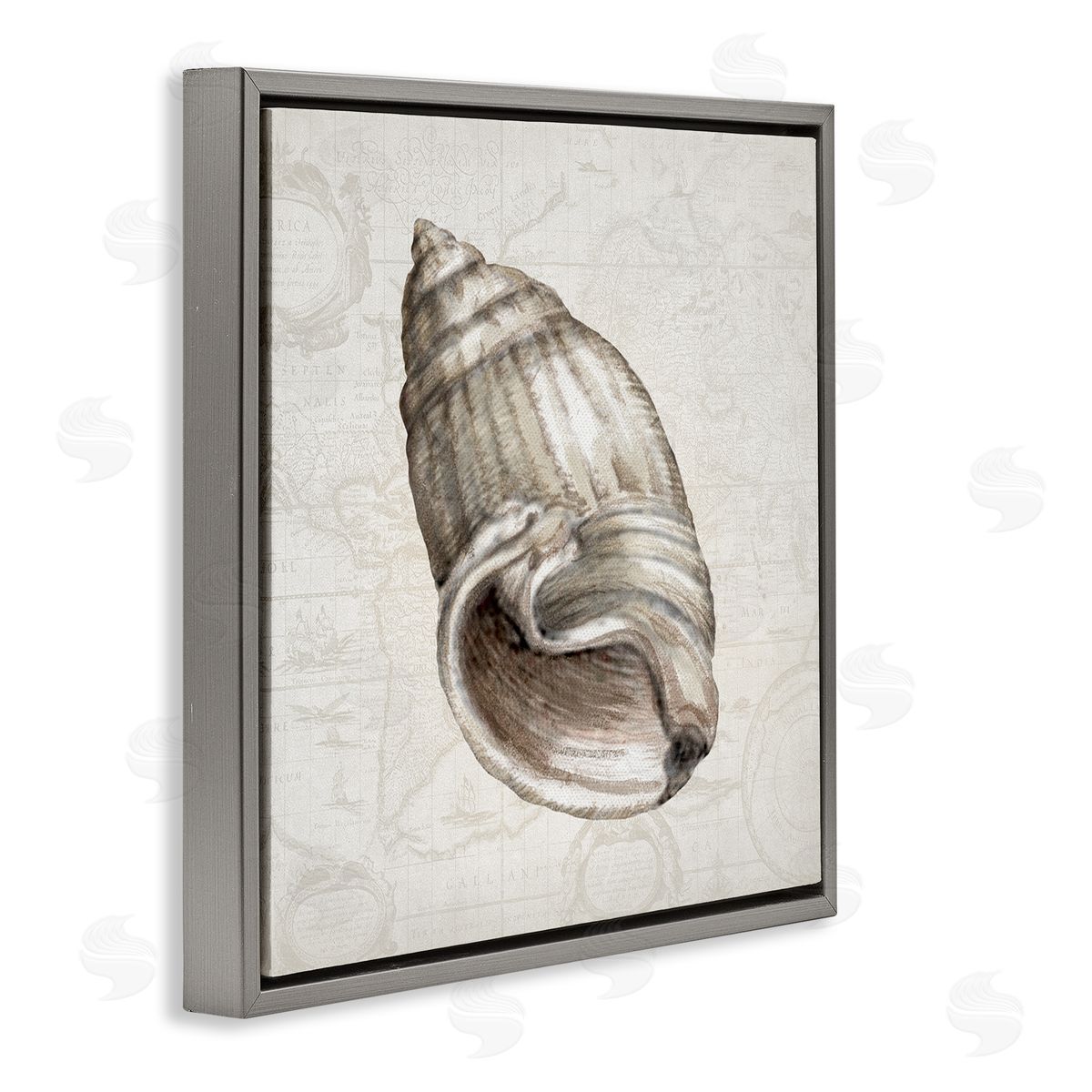Conrad Knutsen | Seashell over Vintage Map