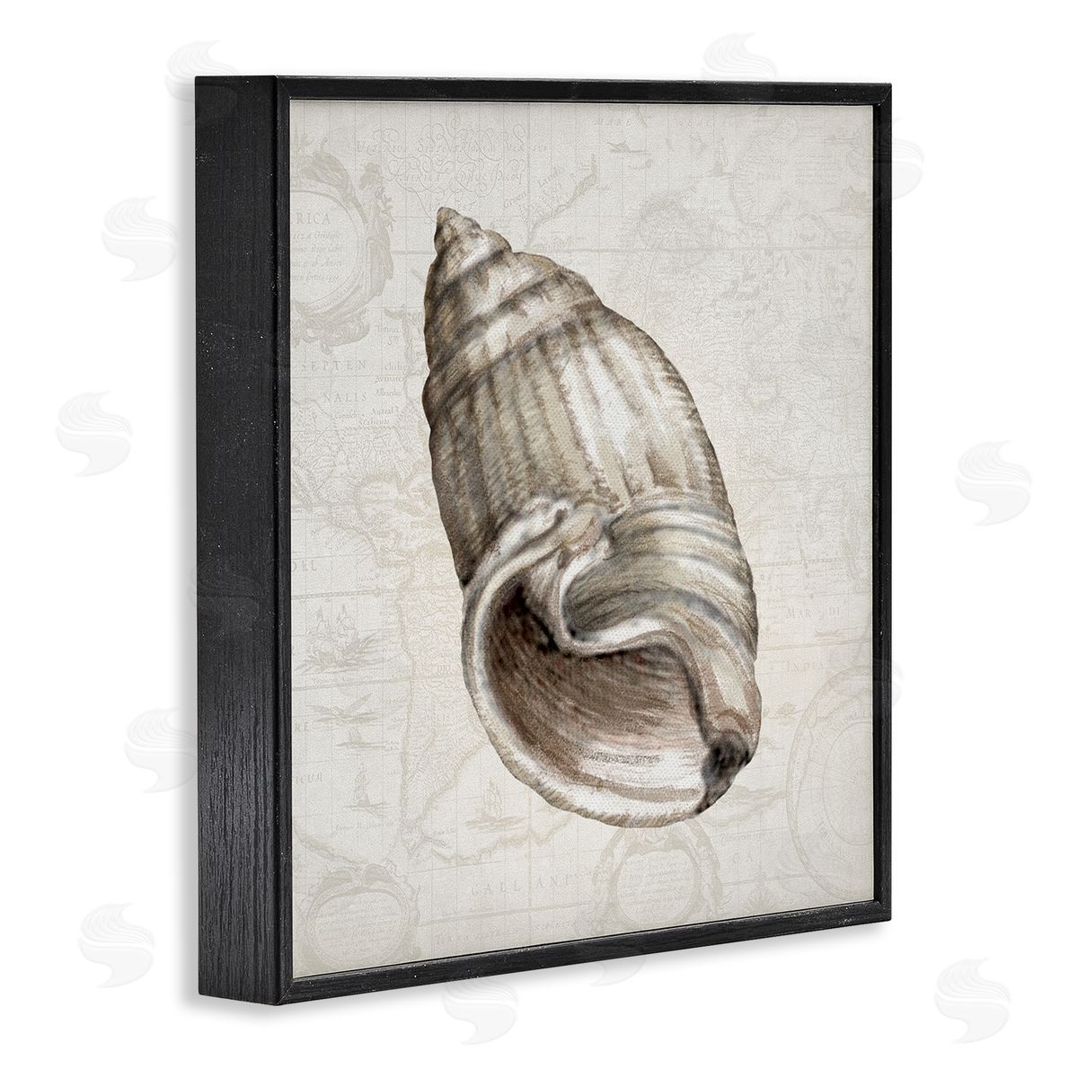 Conrad Knutsen | Seashell over Vintage Map