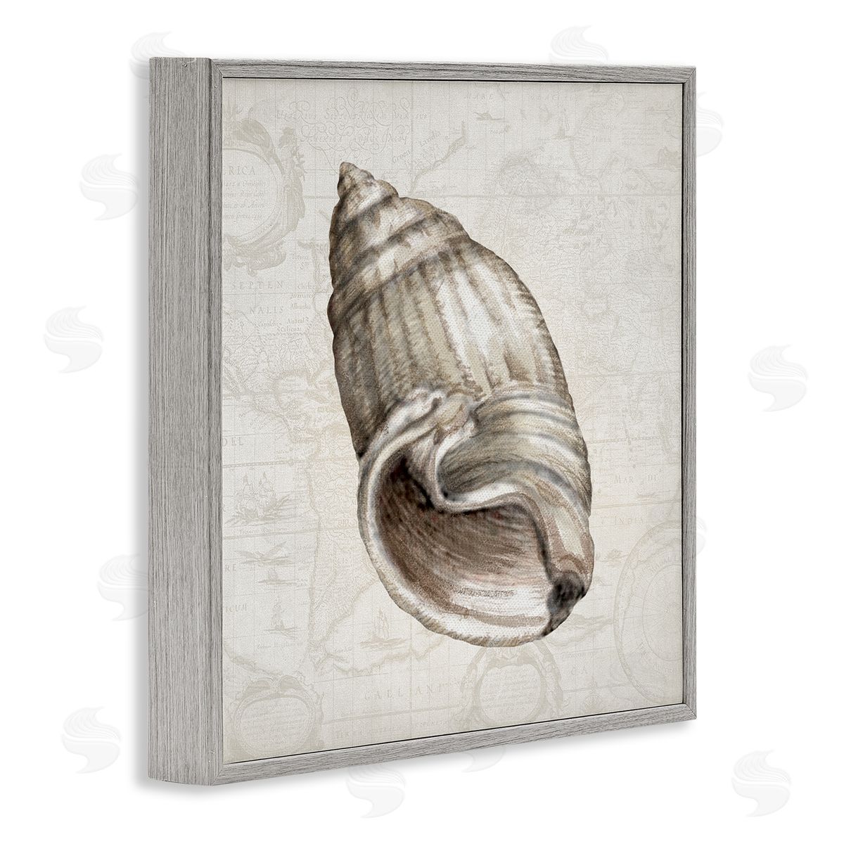 Conrad Knutsen | Seashell over Vintage Map