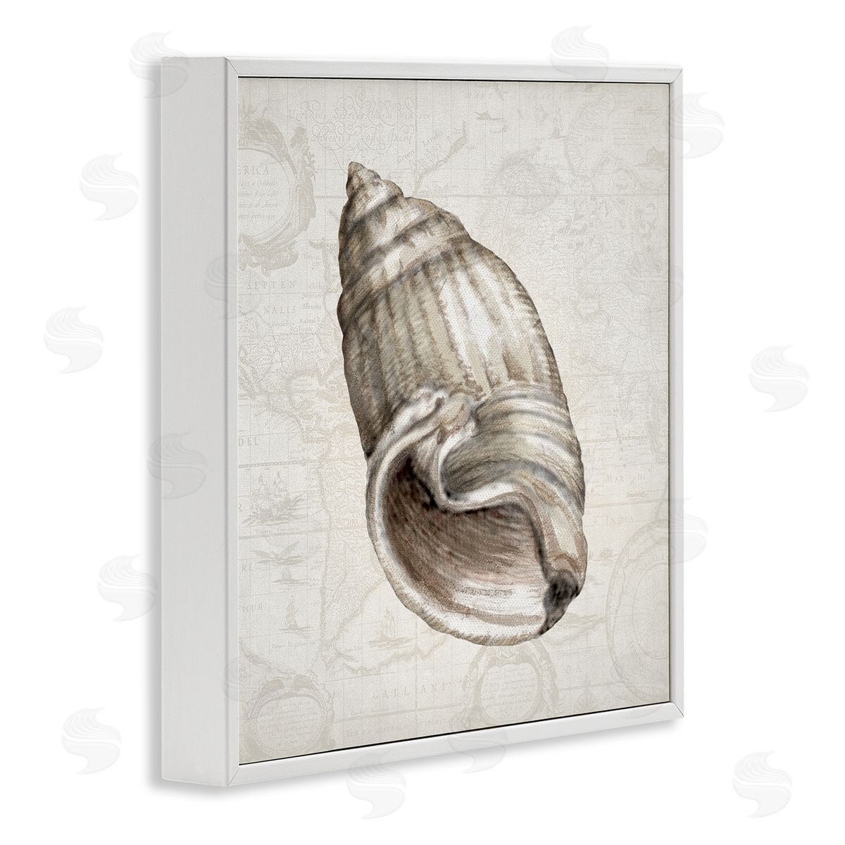 Conrad Knutsen | Seashell over Vintage Map