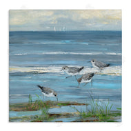 Sally Swatland | Stepping Sandpipers Grazing