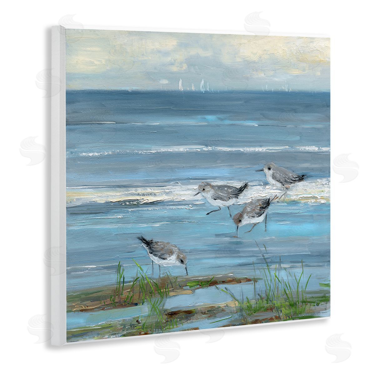 Sally Swatland | Stepping Sandpipers Grazing