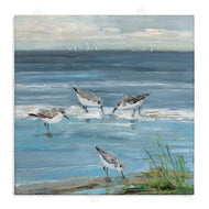 Sally Swatland | Relaxed Sandpipers on Shore