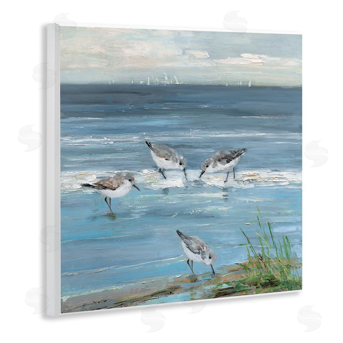 Sally Swatland | Relaxed Sandpipers on Shore