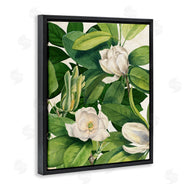 Susan Arnot | Flowering White Blossoms