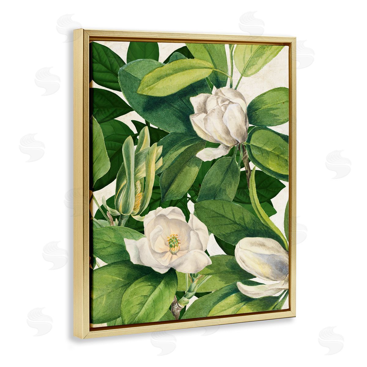 Susan Arnot | Flowering White Blossoms