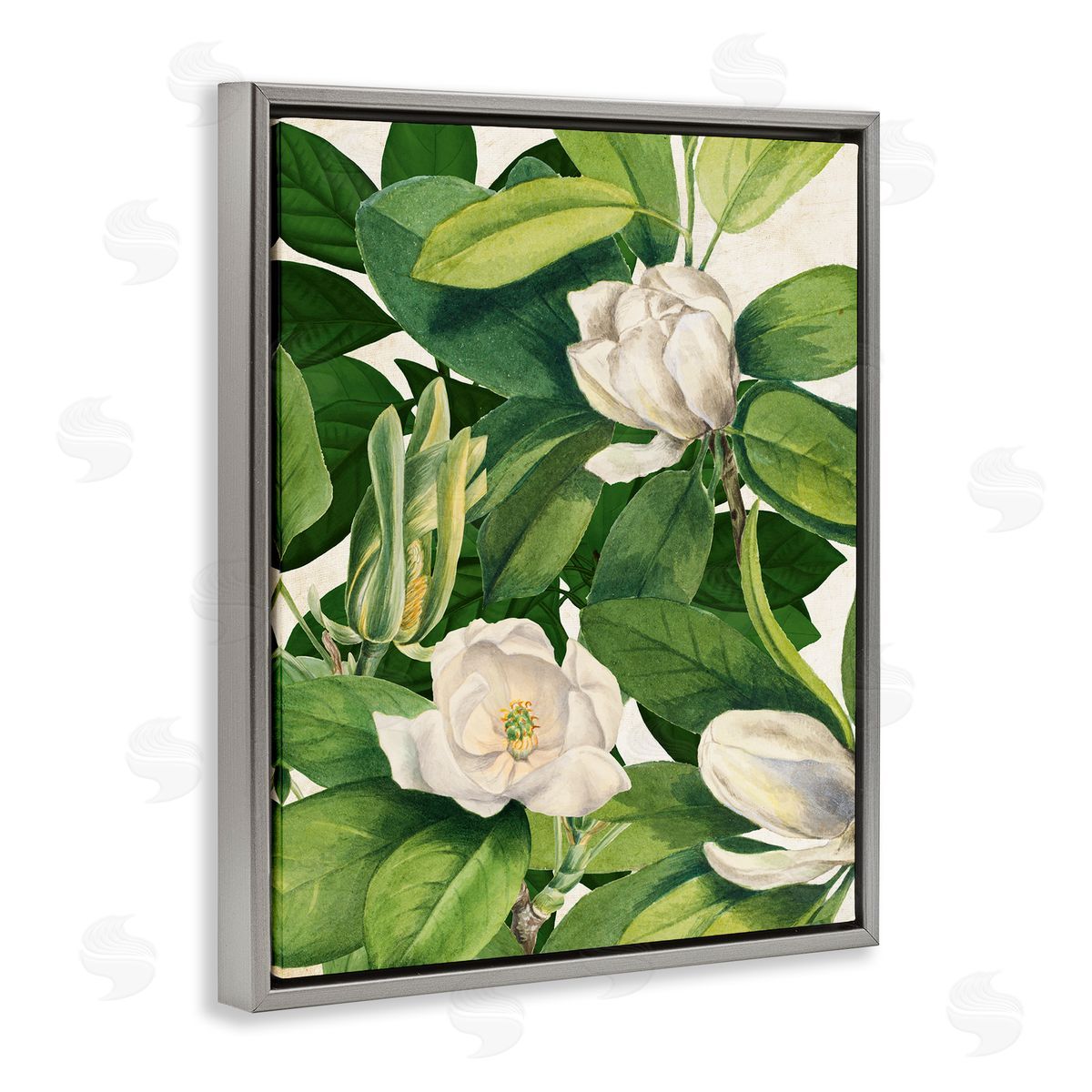 Susan Arnot | Flowering White Blossoms