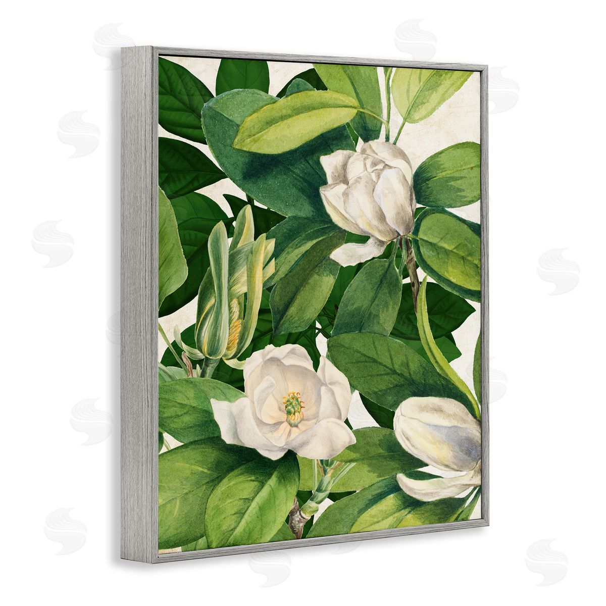 Susan Arnot | Flowering White Blossoms