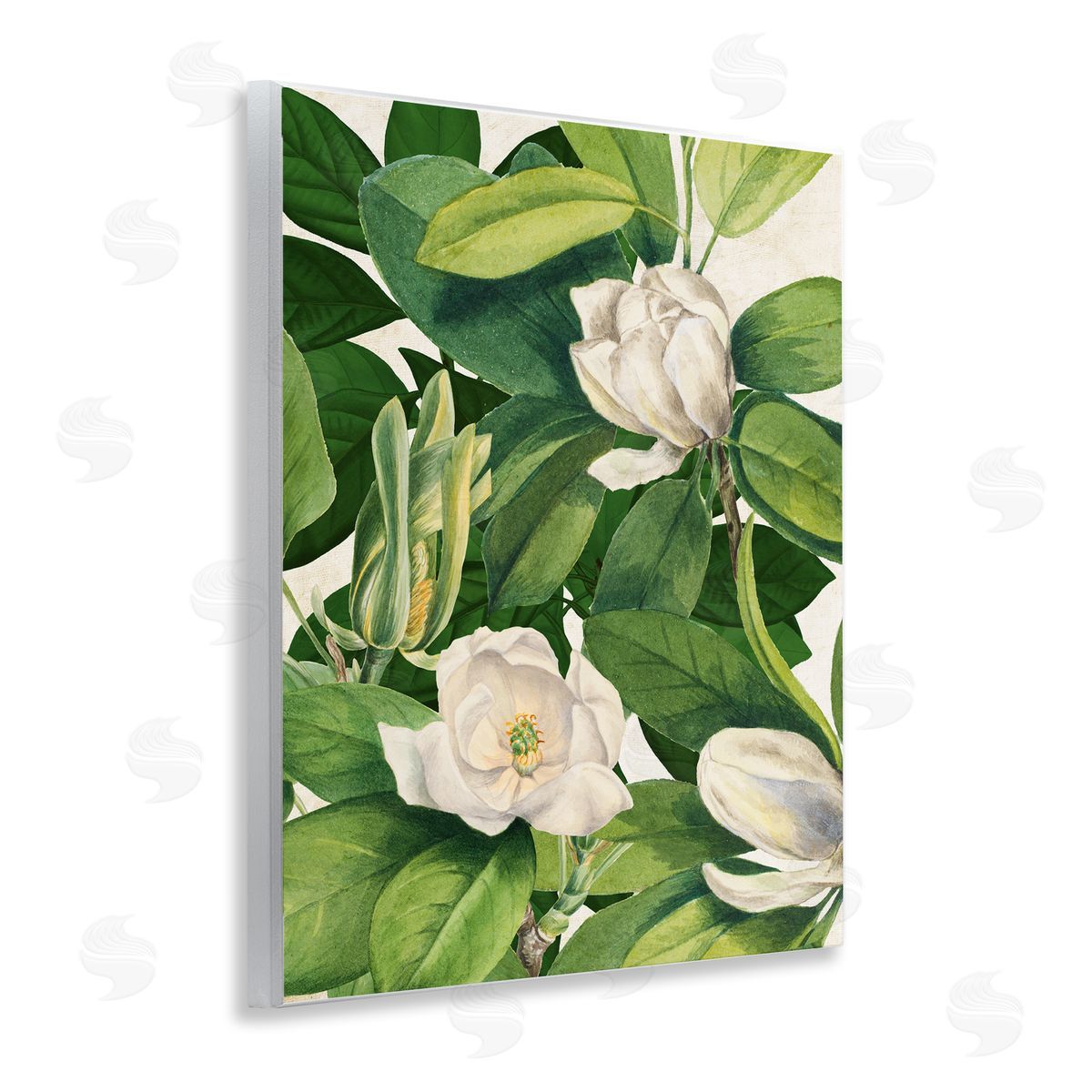 Susan Arnot | Flowering White Blossoms