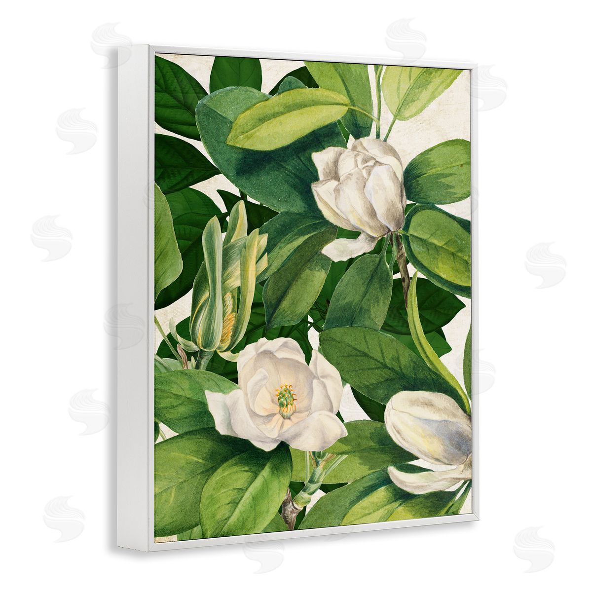Susan Arnot | Flowering White Blossoms