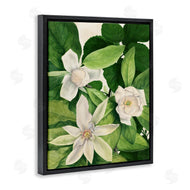 Susan Arnot | Blooming White Tropical Flowers