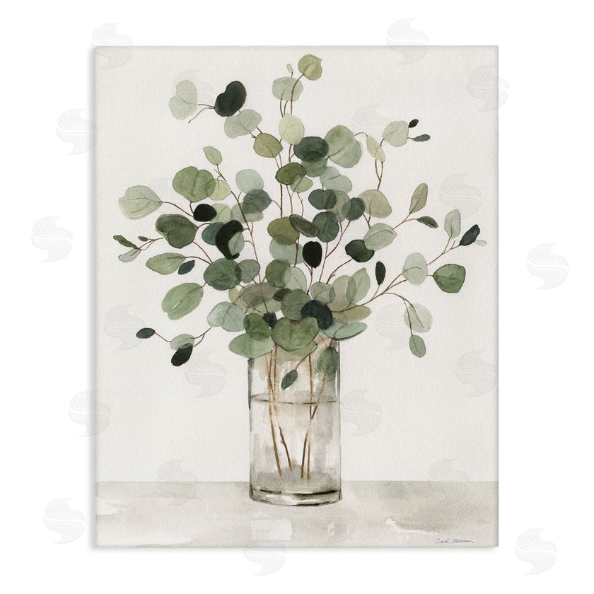 Carol Robinson | Traditional Eucalyptus Herb