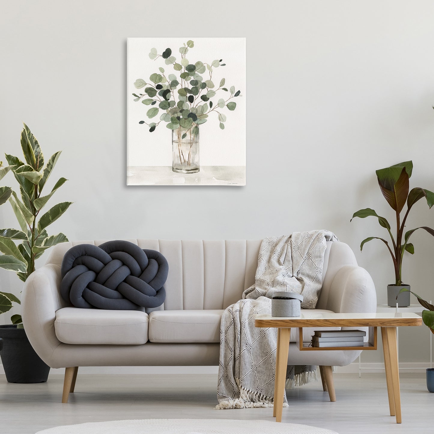 Carol Robinson | Traditional Eucalyptus Herb