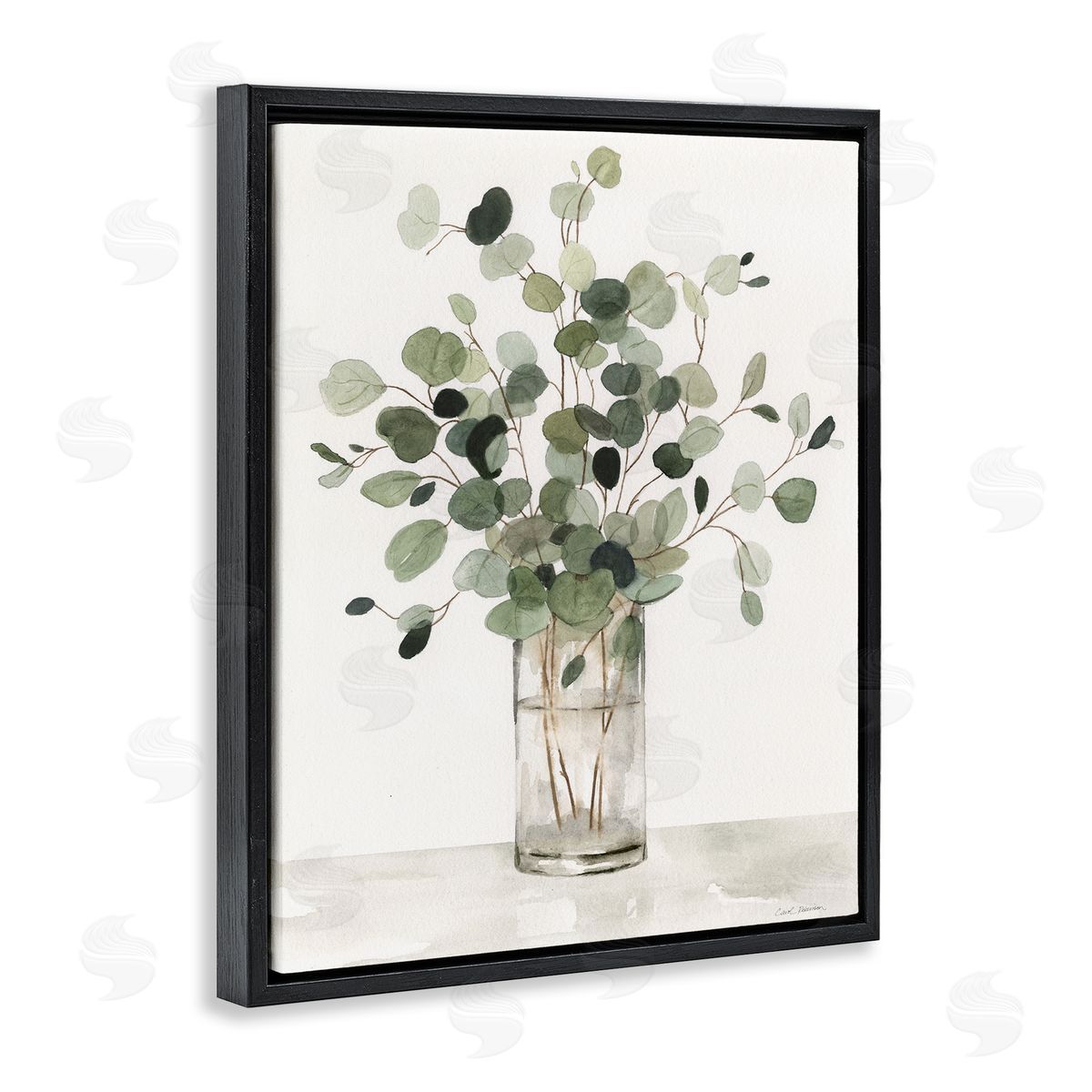 Carol Robinson | Traditional Eucalyptus Herb