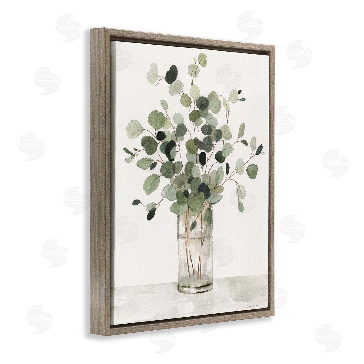 Carol Robinson | Traditional Eucalyptus Herb