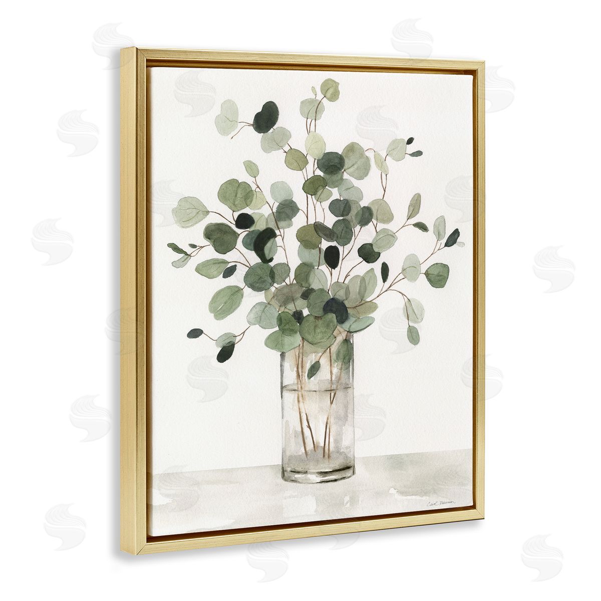 Carol Robinson | Traditional Eucalyptus Herb