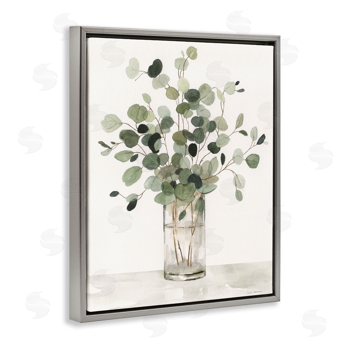 Carol Robinson | Traditional Eucalyptus Herb