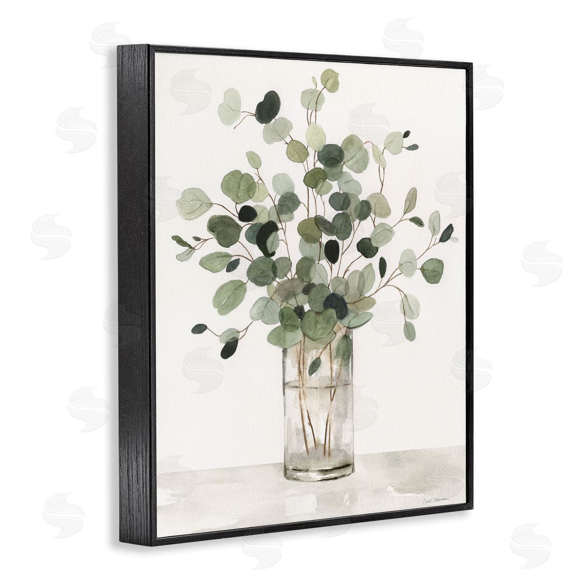 Carol Robinson | Traditional Eucalyptus Herb