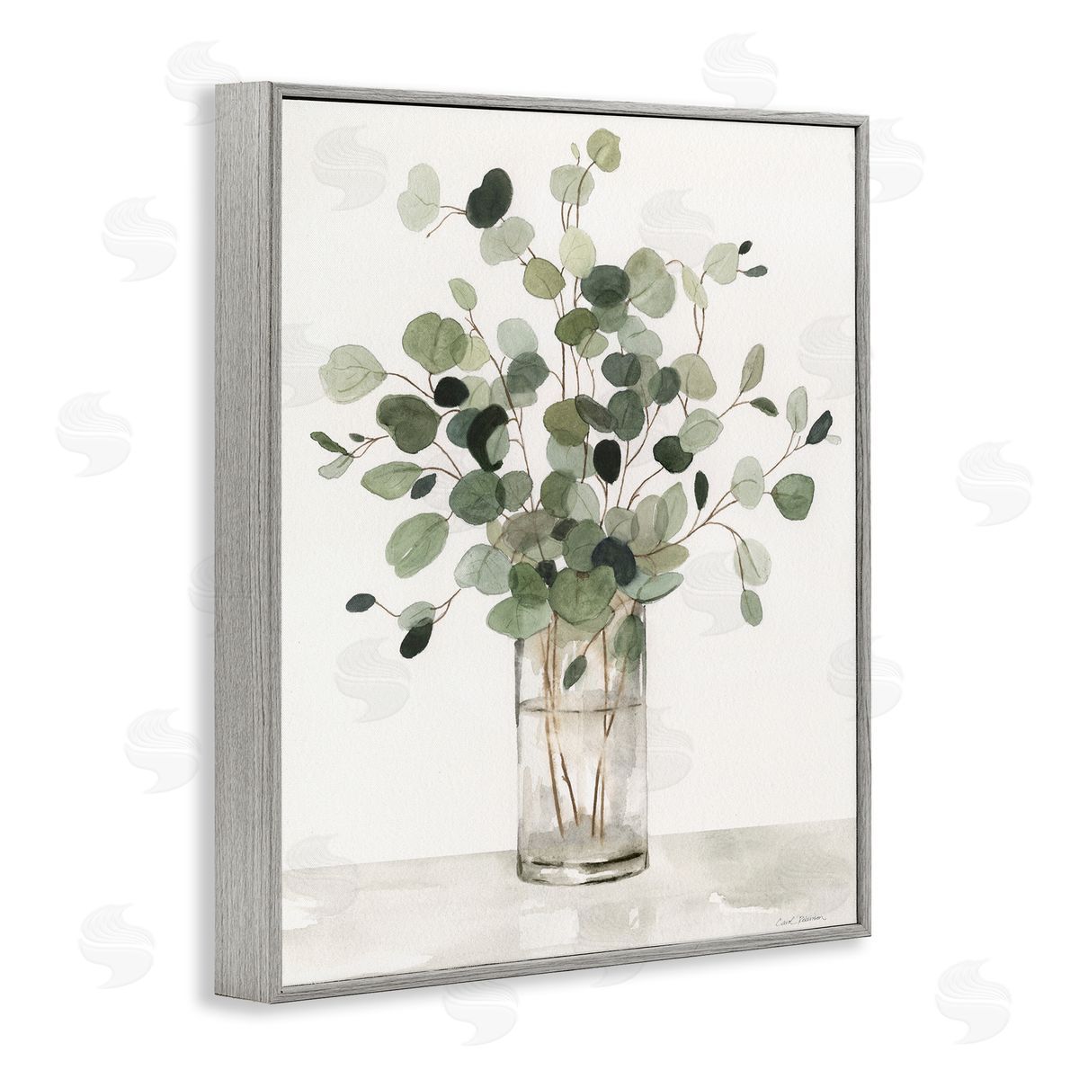 Carol Robinson | Traditional Eucalyptus Herb