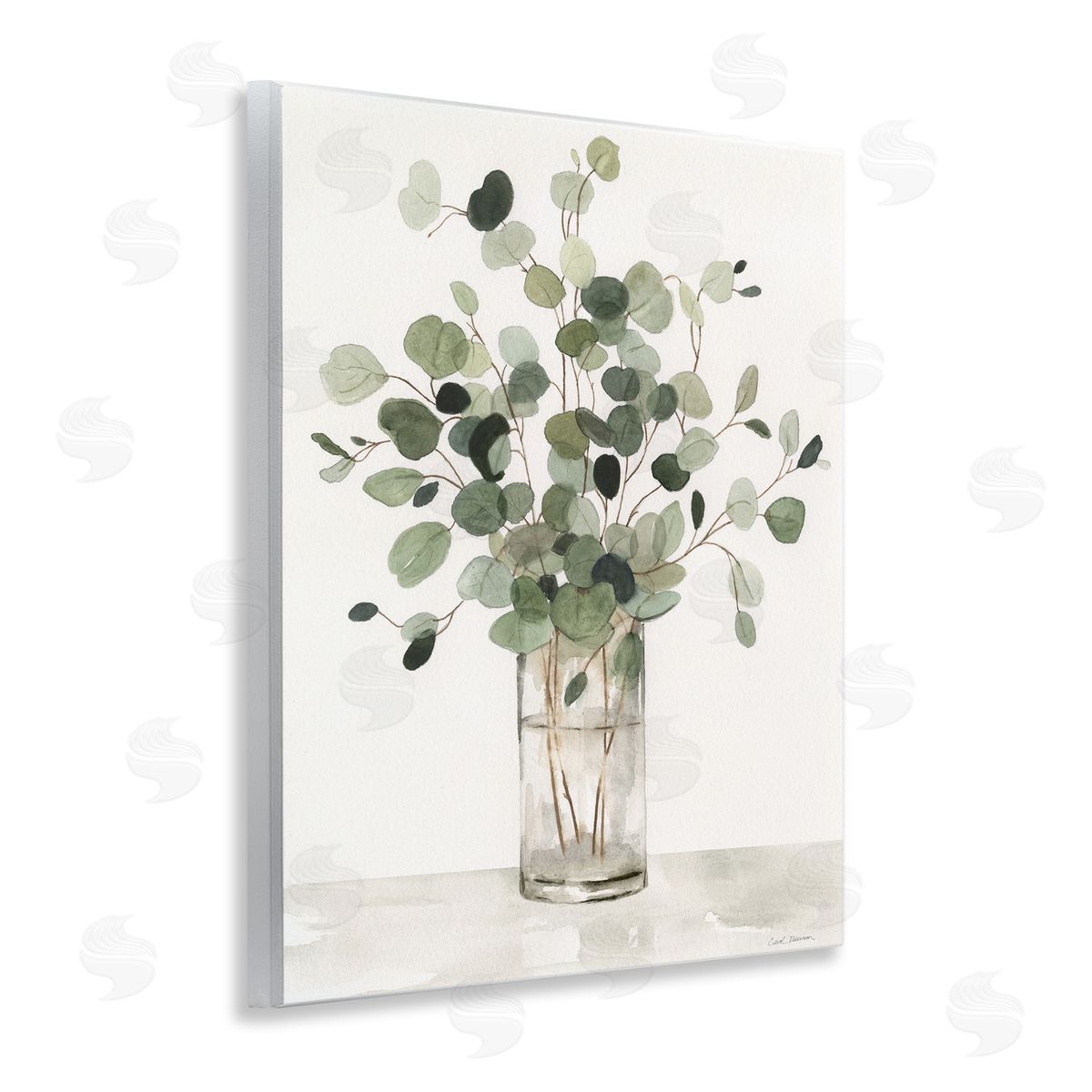 Carol Robinson | Traditional Eucalyptus Herb