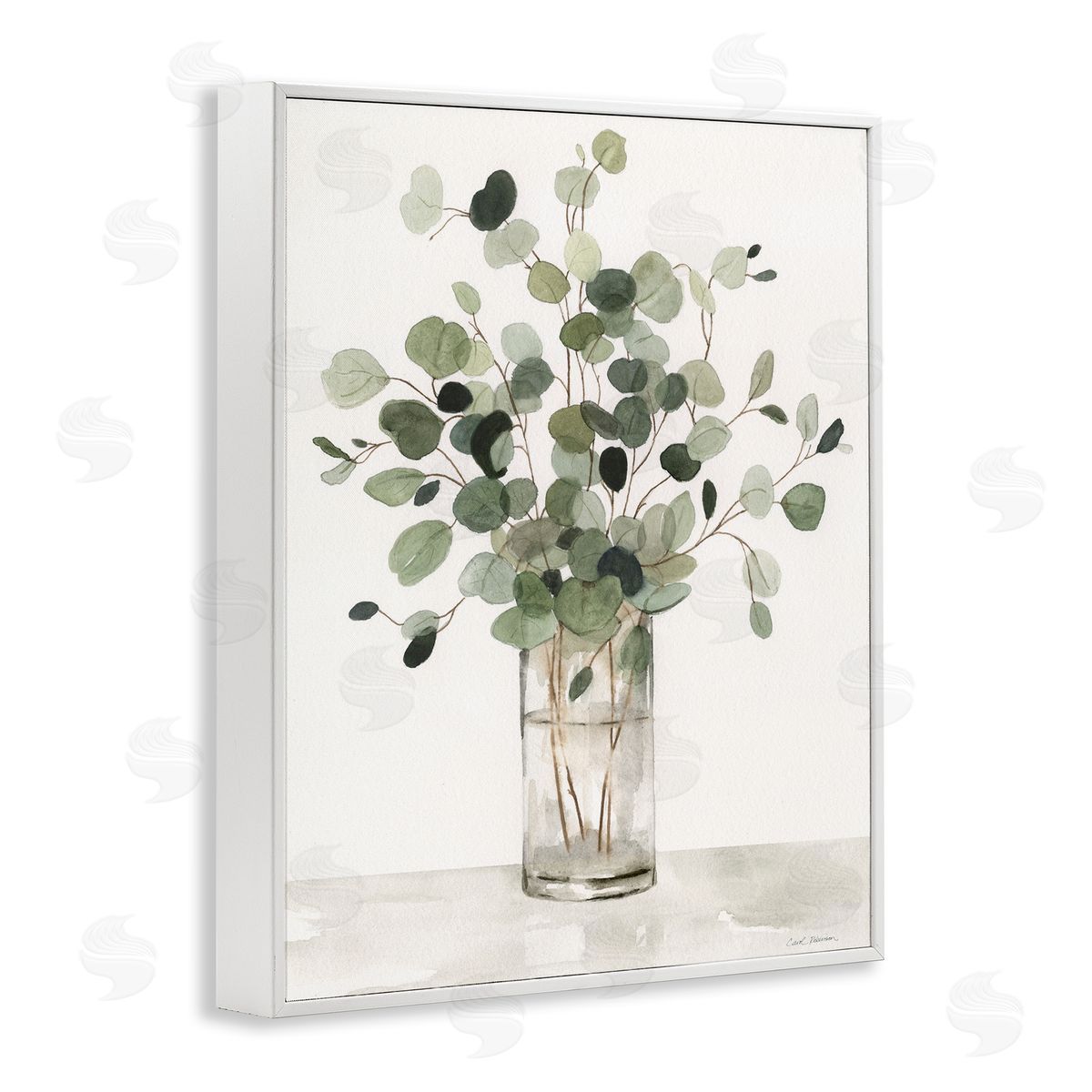 Carol Robinson | Traditional Eucalyptus Herb
