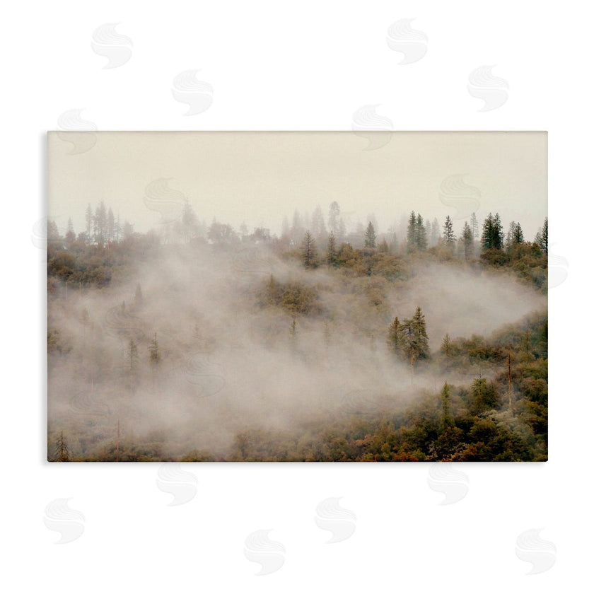 Gemma Bardot | Morning Fog over Trees