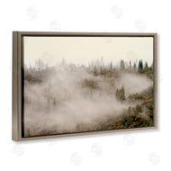 Gemma Bardot | Morning Fog over Trees