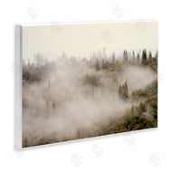 Gemma Bardot | Morning Fog over Trees