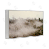 Gemma Bardot | Morning Fog over Trees