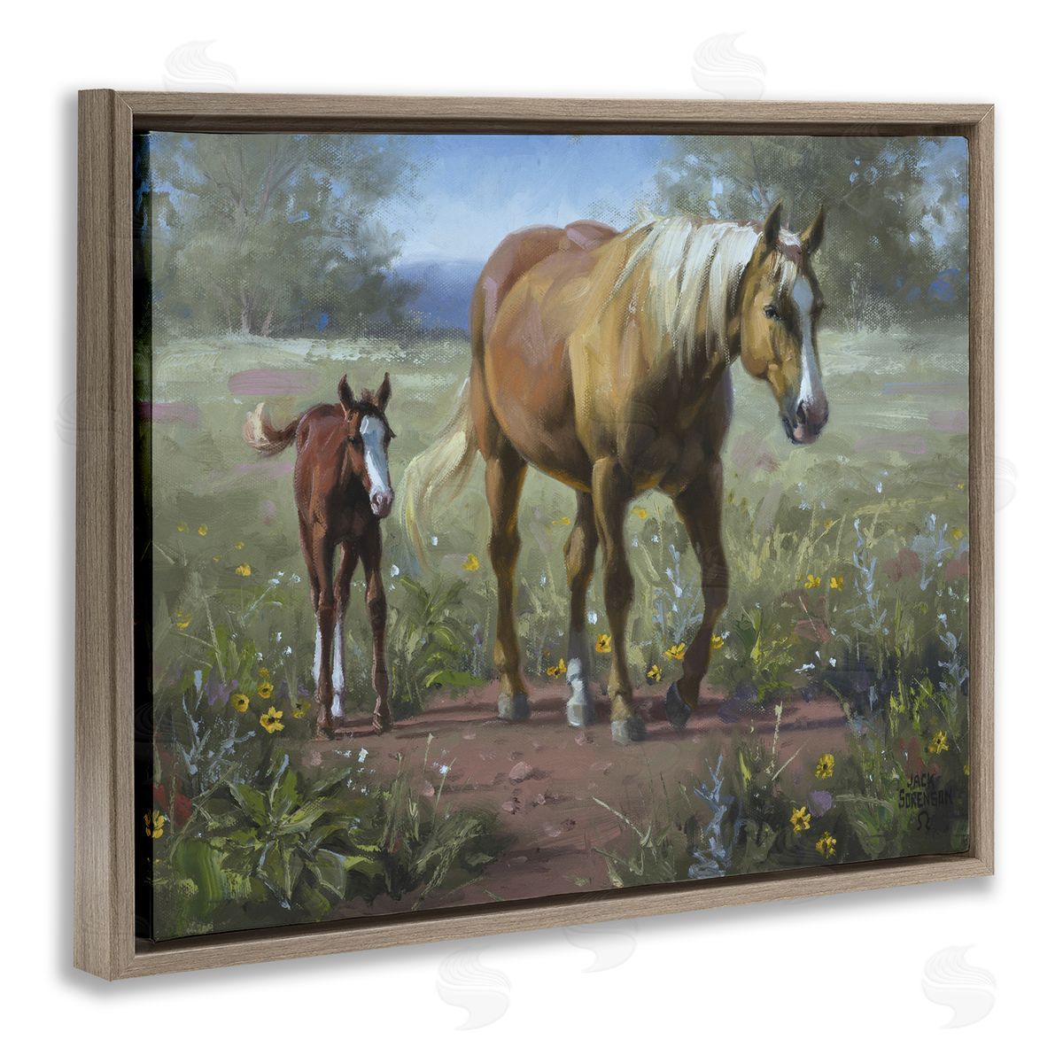 Jack Sorenson | Horse & Foal in Meadow