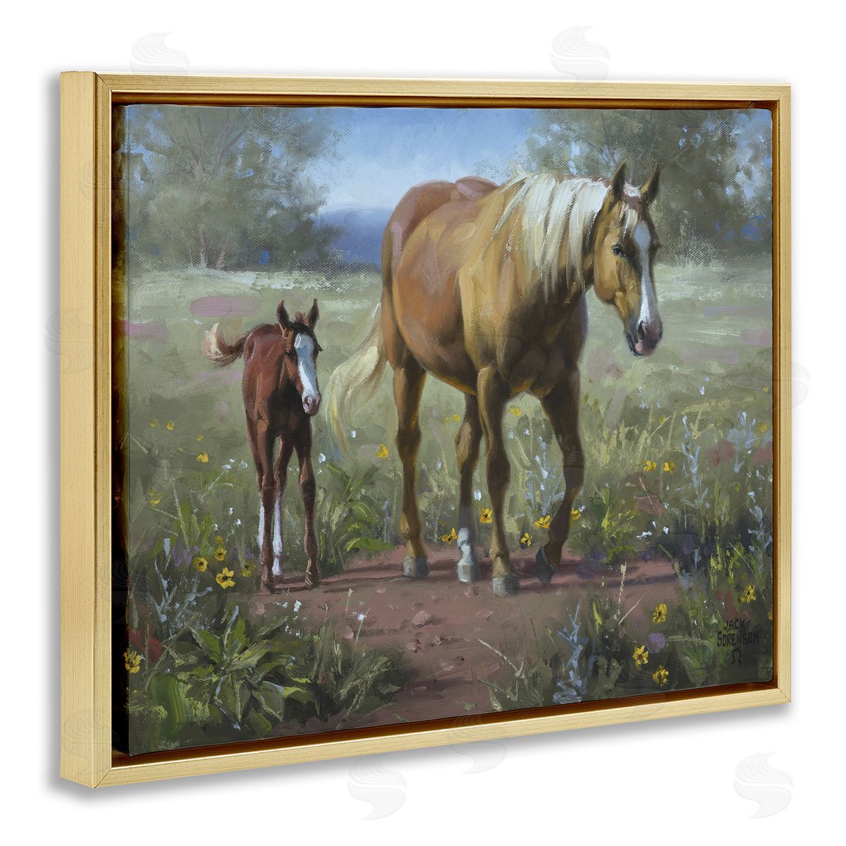 Jack Sorenson | Horse & Foal in Meadow