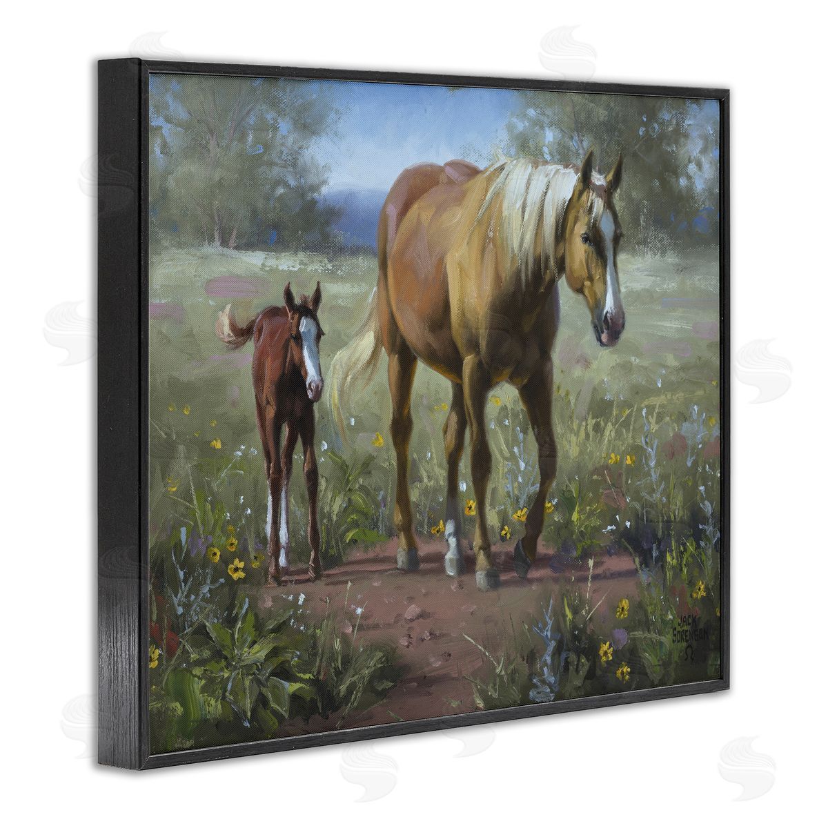 Jack Sorenson | Horse & Foal in Meadow