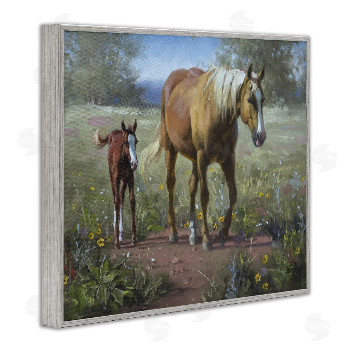 Jack Sorenson | Horse & Foal in Meadow