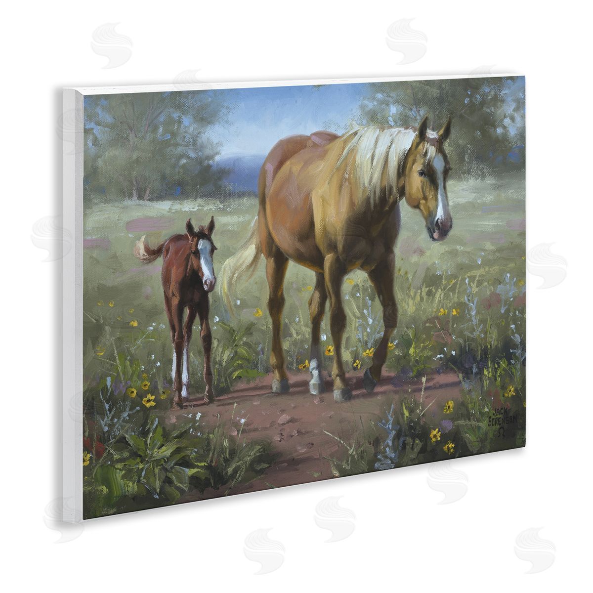 Jack Sorenson | Horse & Foal in Meadow