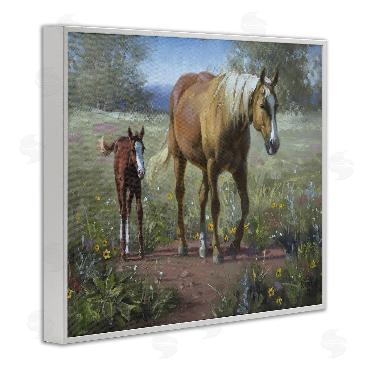Jack Sorenson | Horse & Foal in Meadow