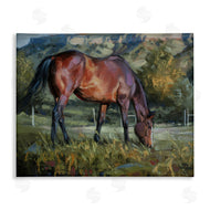 Jack Sorenson | Grazing Horse in Pasture