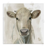 Grace Popp | Monochrome Cattle Face Portrait