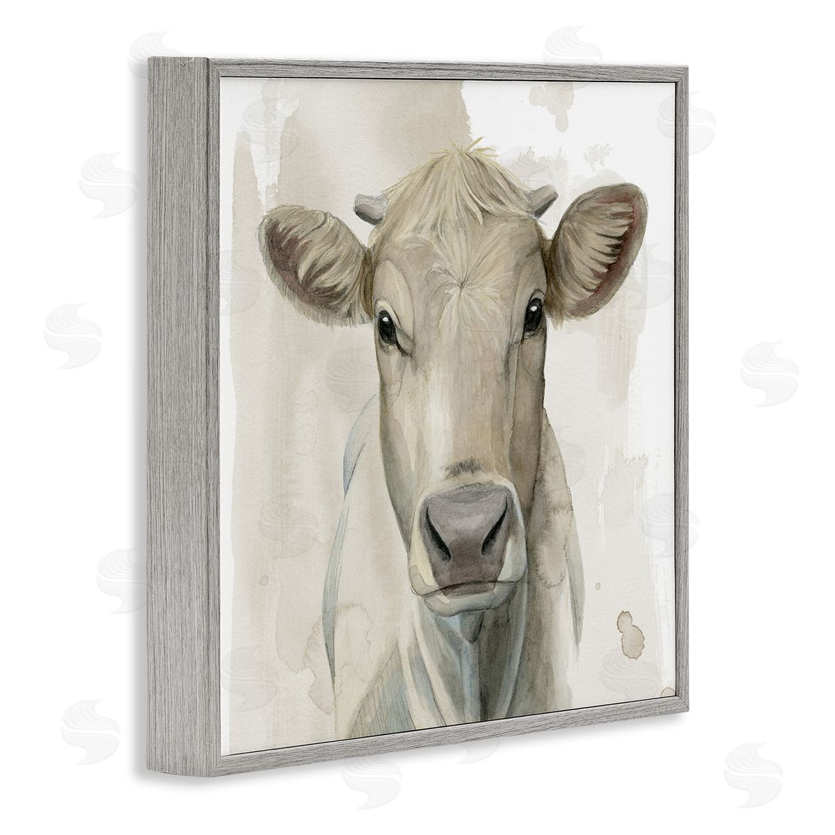 Grace Popp | Monochrome Cattle Face Portrait