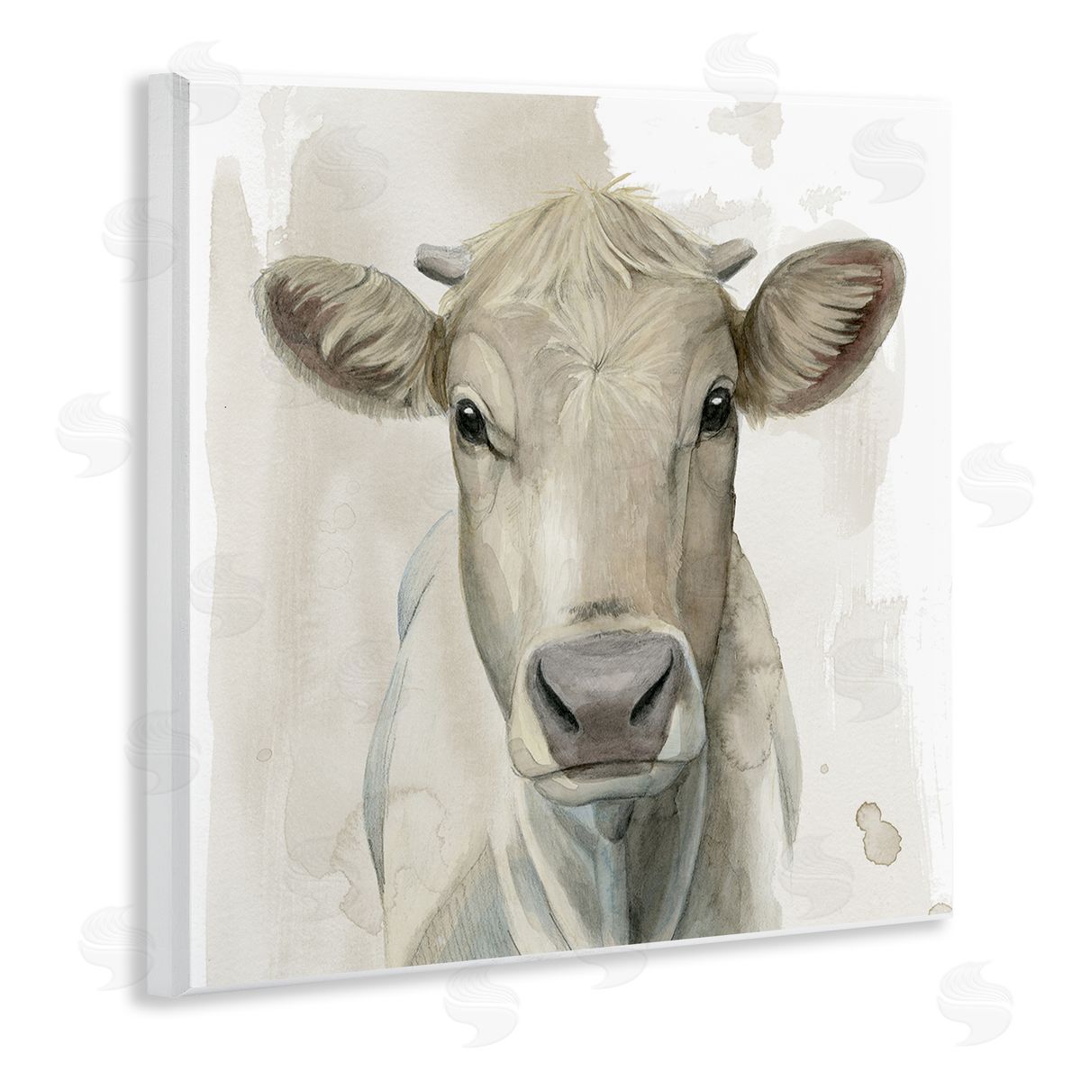 Grace Popp | Monochrome Cattle Face Portrait