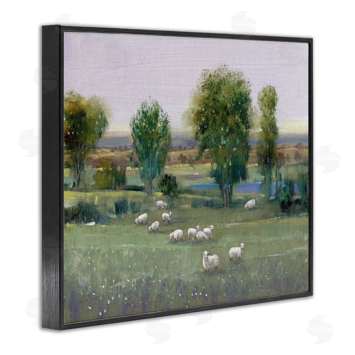 Tim OToole | Sheep in Pasture Overlook